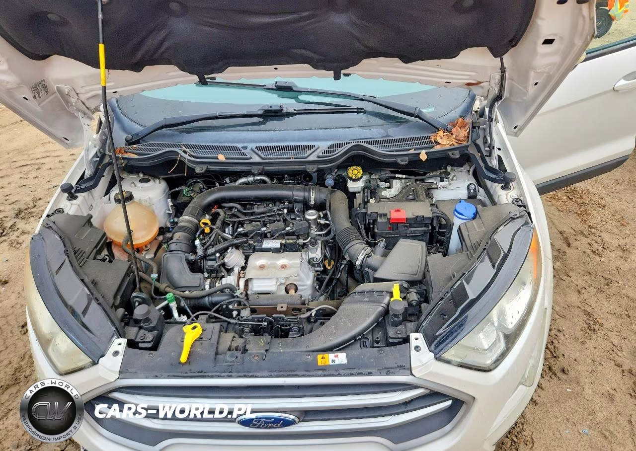 2019 Ford Ecosport Se VIN:MAJ3S2GE9KC263891 - 12