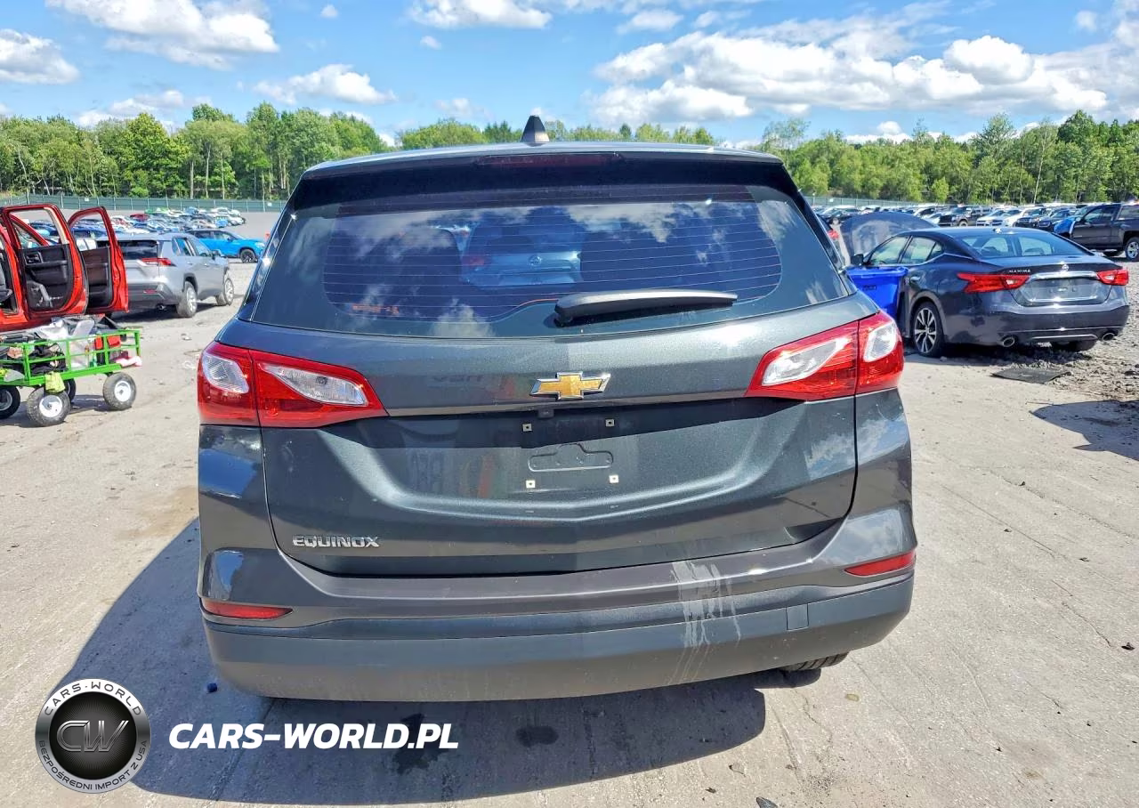 2020 Chevrolet Equinox Ls VIN:3GNAXHEV9LS548098 - 6