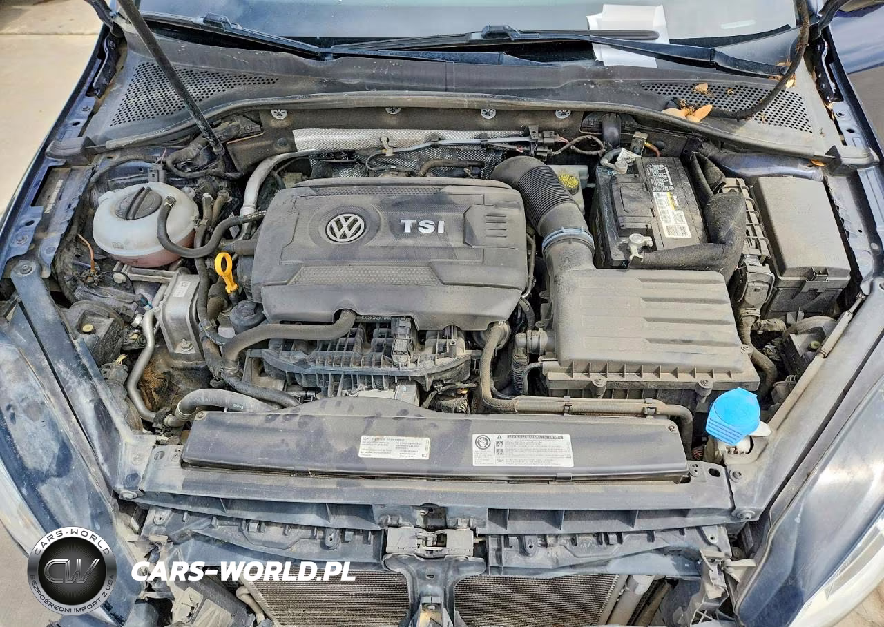 2017 Volkswagen Golf Sportwagen S VIN:3VWC17AU0HM515042 - 11