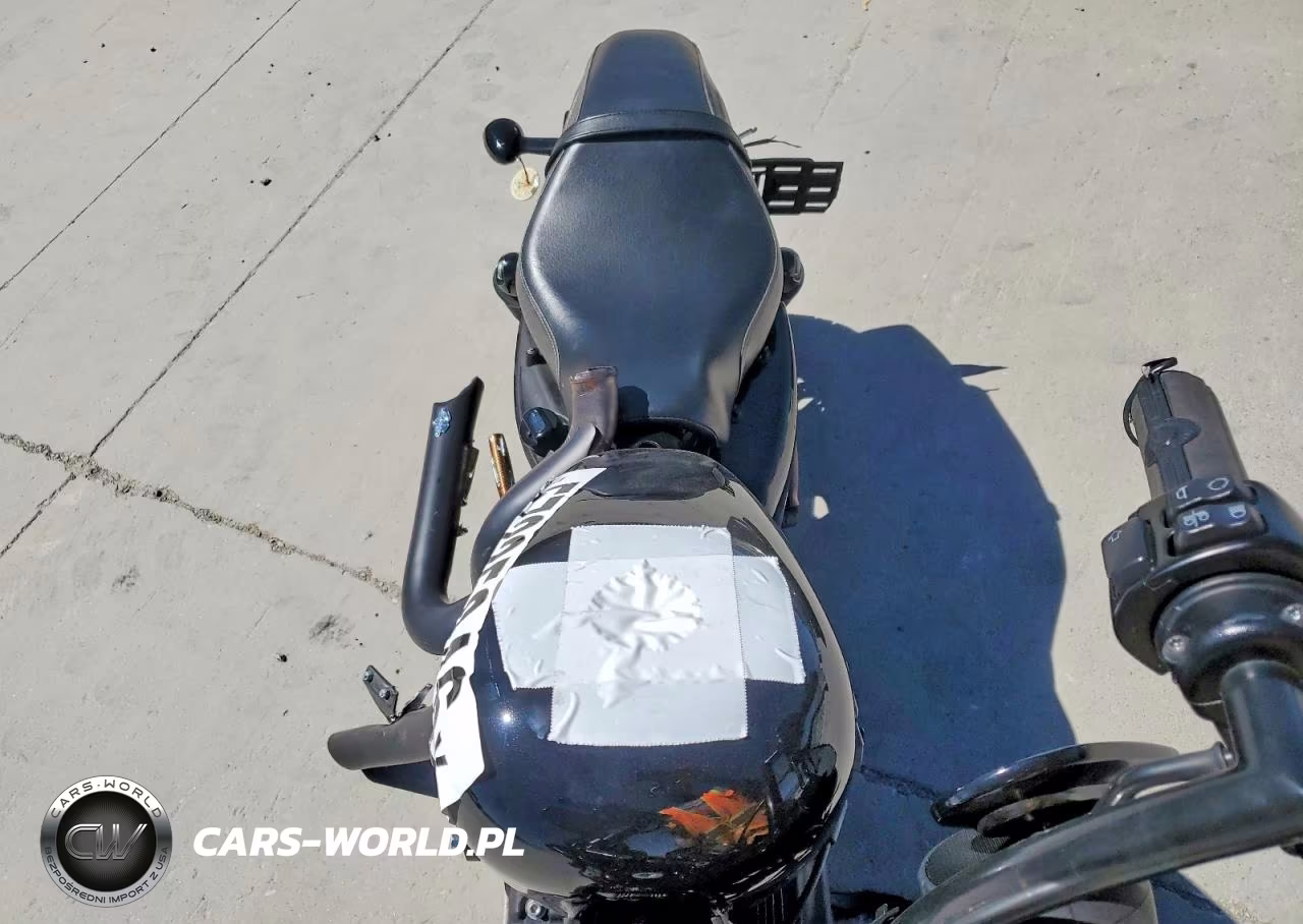 2016 Harley-Davidson Xl1200 Forty-Eight VIN:1HD1LC333GC424458 - 5
