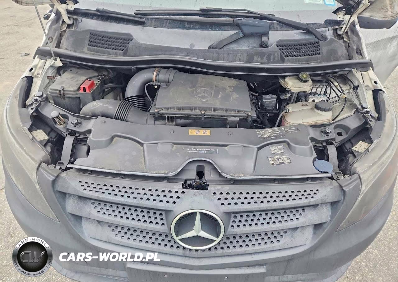 2016 Mercedes-Benz Metris Delivery Van VIN:WD3PG2EA8G3189779 - 12