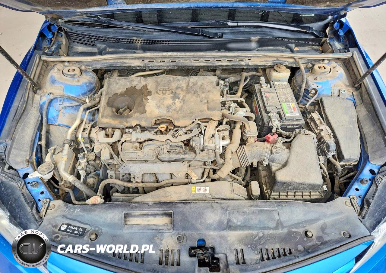2019 Toyota Camry Le VIN:4T1B11HK6KU235852 - 11