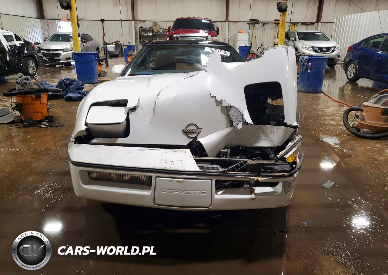 1989 Chevrolet Corvette VIN:1G1YY2188K5122325 - 5