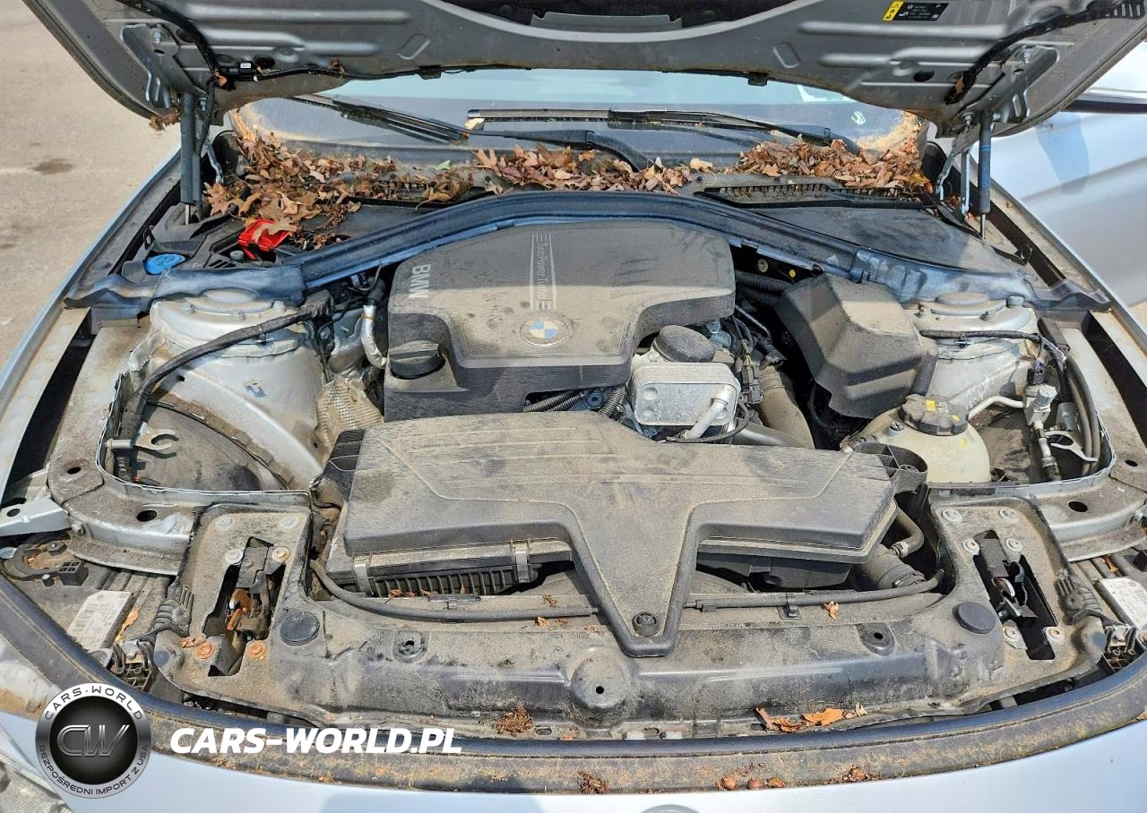 2018 BMW 320 Xi VIN:WBA8A3C51JA499795 - 11