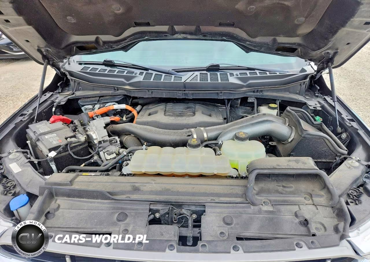 2022 Ford F150 Supercrew VIN:1FTFW1ED4NFA48891 - 11