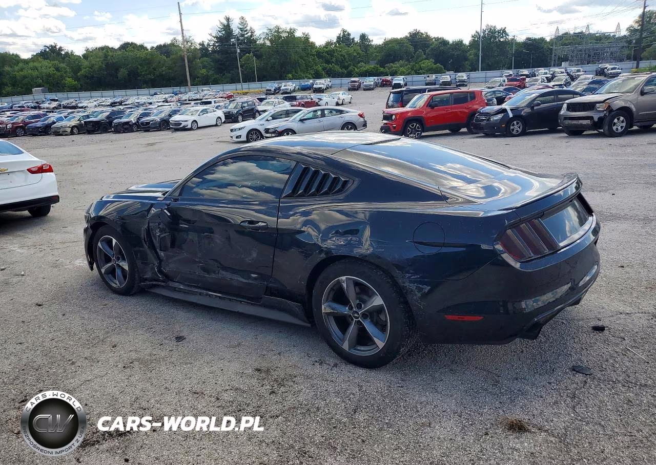 2016 Ford Mustang VIN:1FA6P8AM0G5289809 - 2