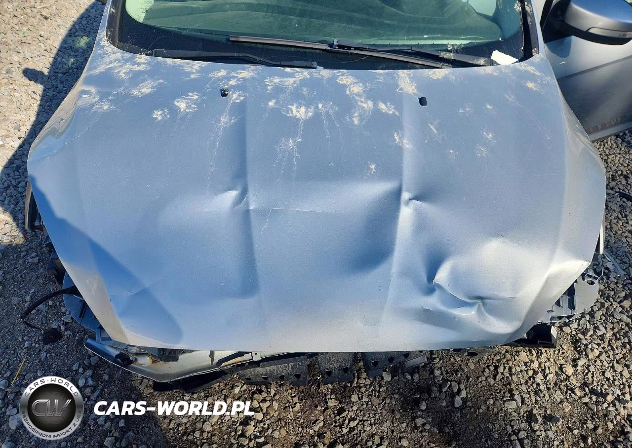 2016 Ford Focus Se VIN:1FADP3F20GL329500 - 11