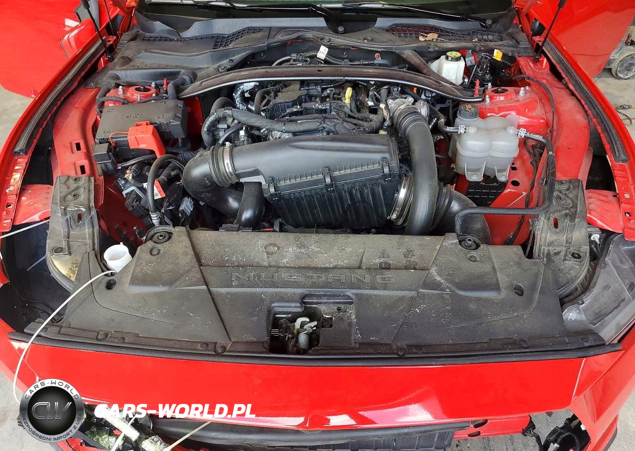 2025 Ford Mustang VIN:1FAGP8UH3S5108309 - 11