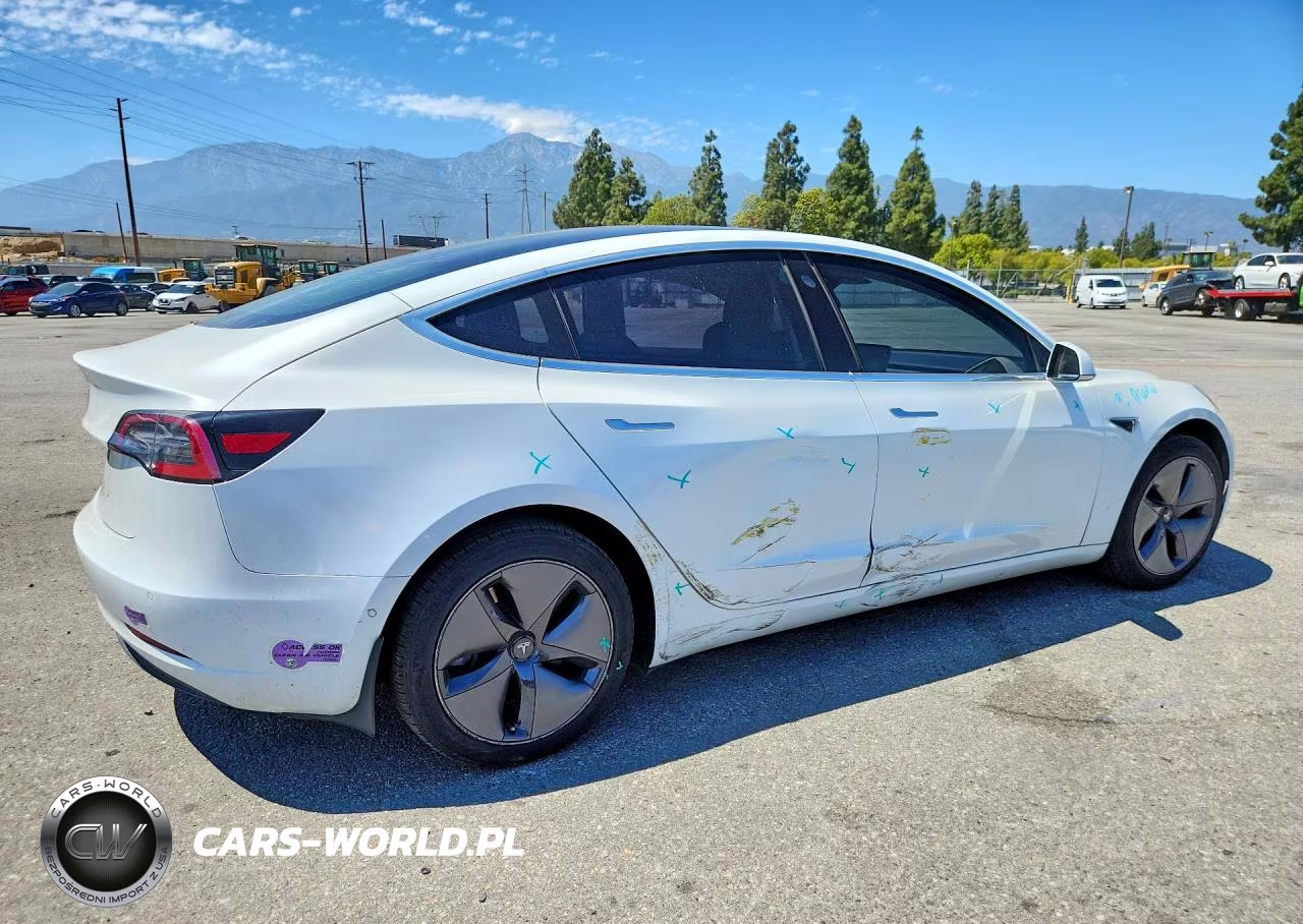 2019 Tesla Model 3 VIN:5YJ3E1EA7KF485585 - 3