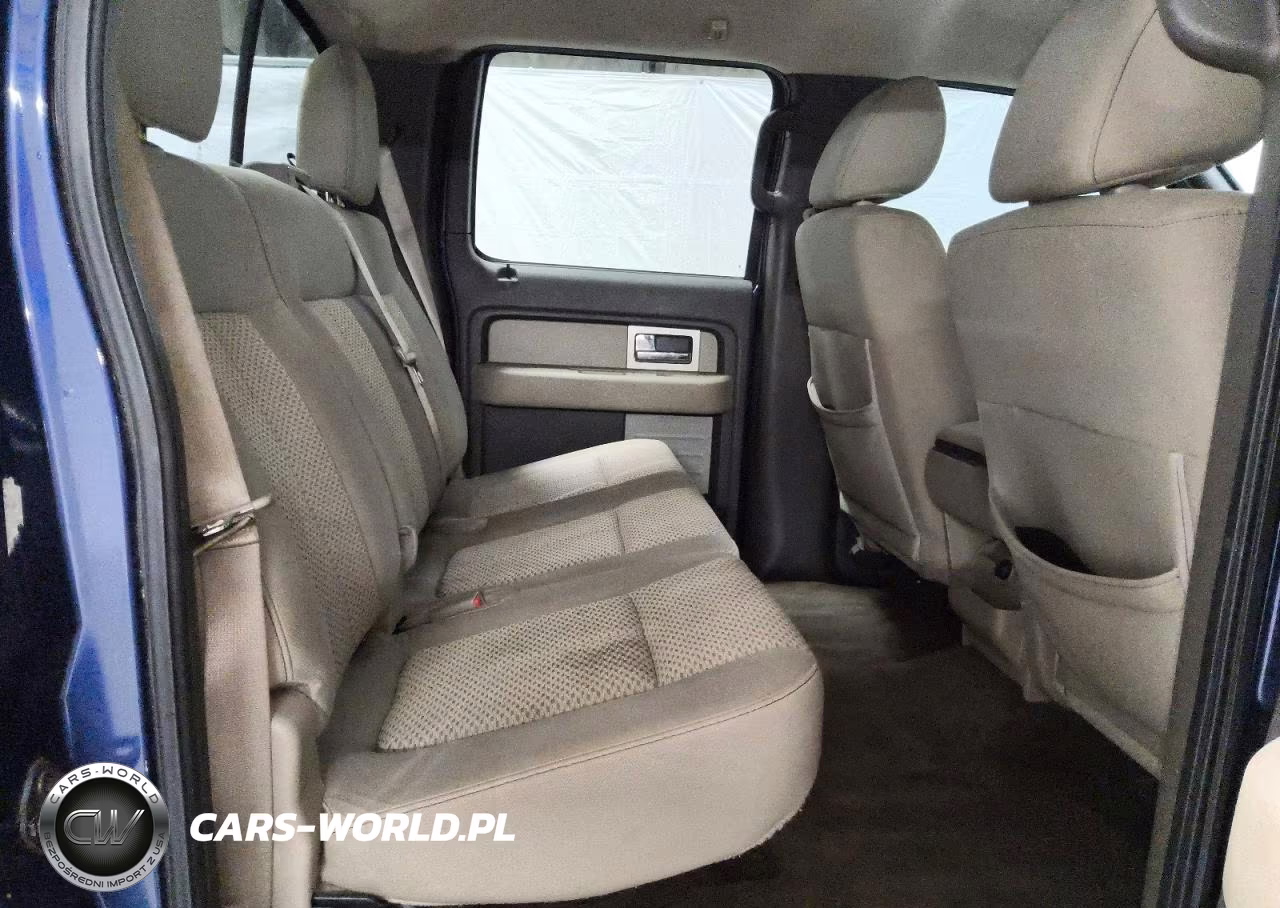 2010 Ford F150 Supercrew VIN:1FTEW1C83AFC81172 - 10