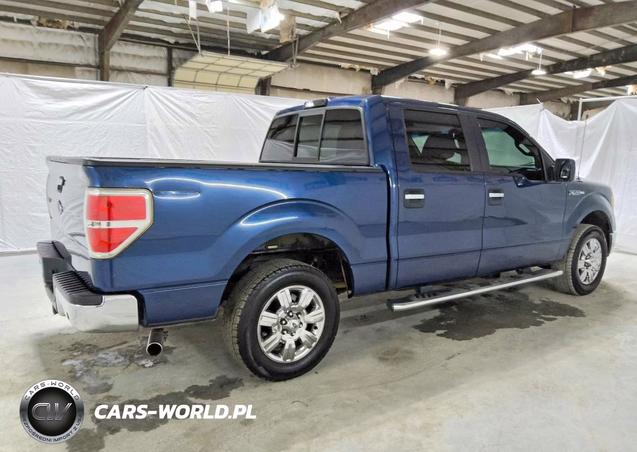 2010 Ford F150 Supercrew VIN:1FTEW1C83AFC81172 - 3