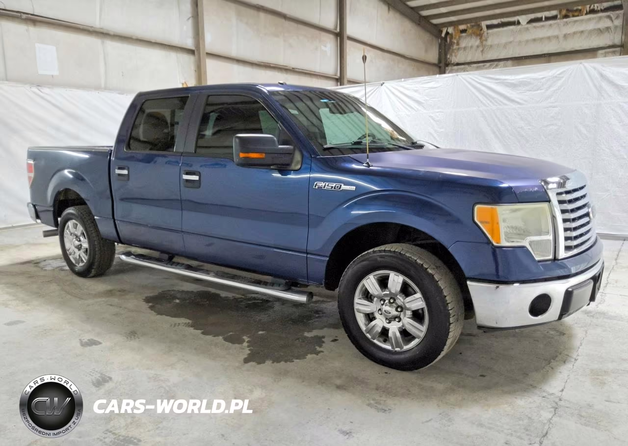 2010 Ford F150 Supercrew VIN:1FTEW1C83AFC81172 - 4