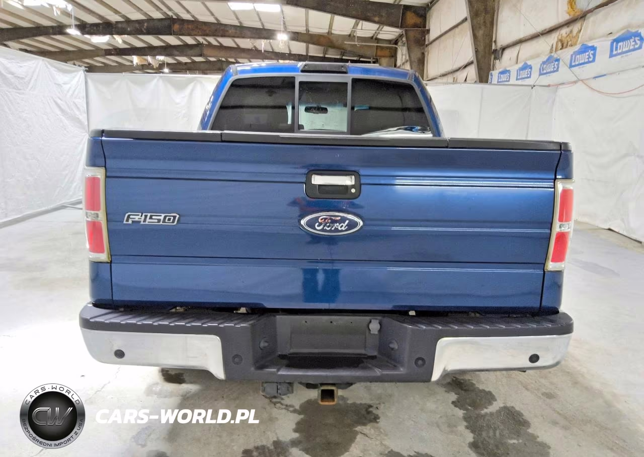 2010 Ford F150 Supercrew VIN:1FTEW1C83AFC81172 - 6