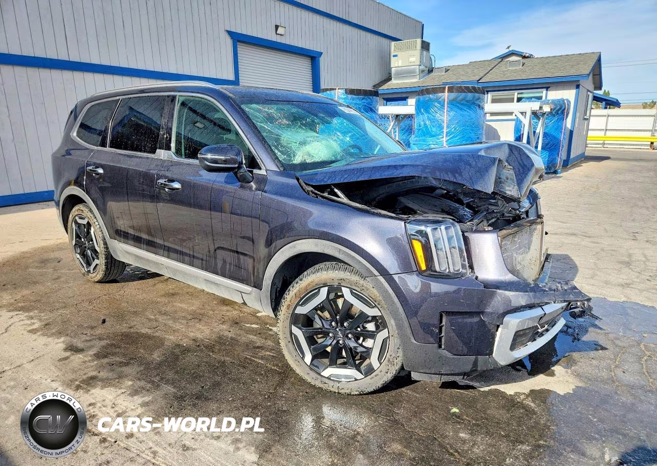 2025 Kia Telluride S VIN:5XYP6DGC7SG644905 - 8