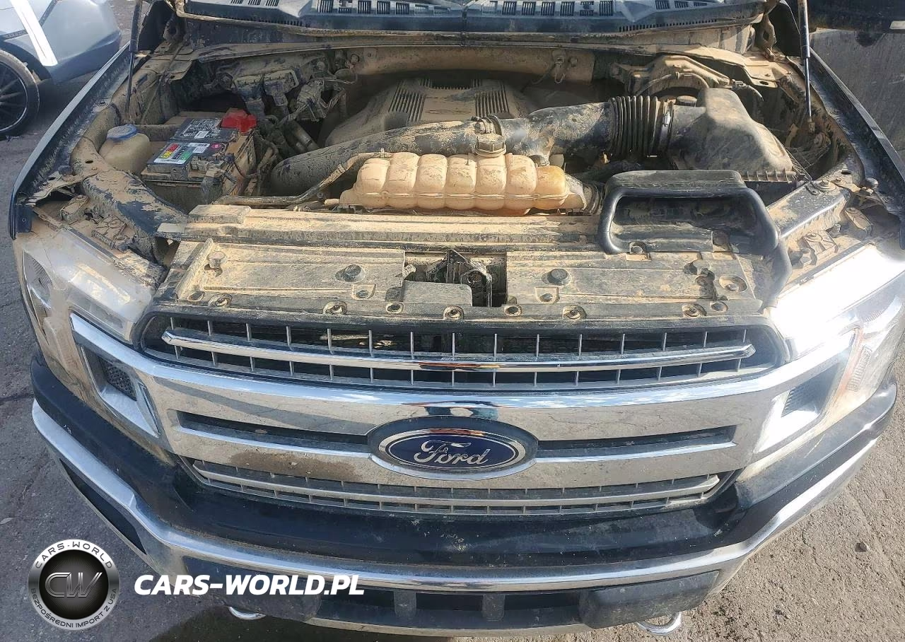 2018 Ford F150 Supercrew VIN:1FTEW1EG9JKD42164 - 11