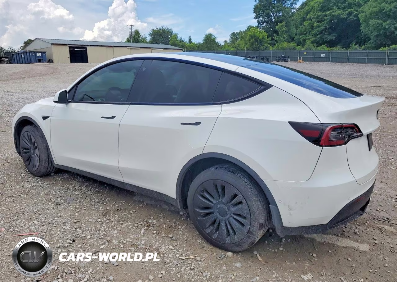 2022 Tesla Model Y VIN:7SAYGDEE0NF535884 - 2
