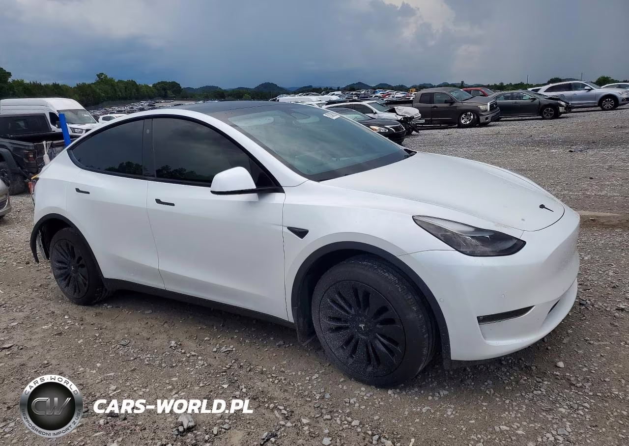 2022 Tesla Model Y VIN:7SAYGDEE0NF535884 - 4