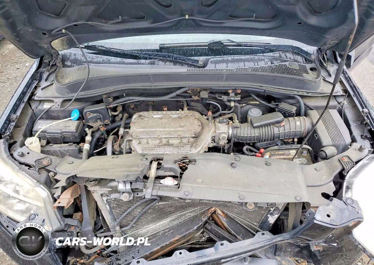 2008 Honda Pilot Exl VIN:5FNYF18558B042636 - 12