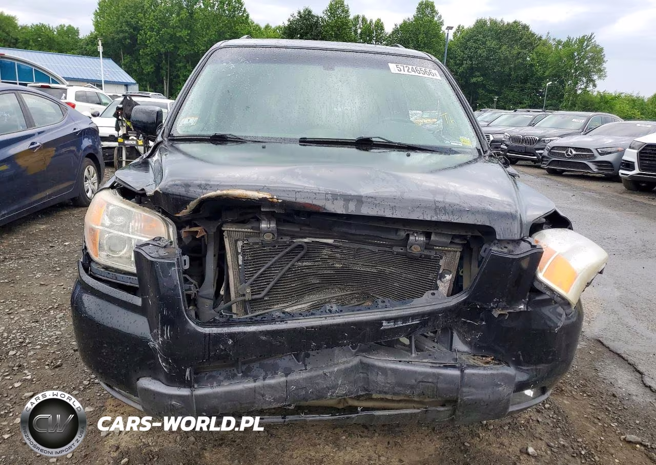 2008 Honda Pilot Exl VIN:5FNYF18558B042636 - 5