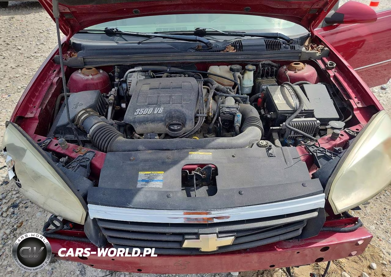 2006 Chevrolet Malibu Lt VIN:1G1ZT51846F241591 - 11