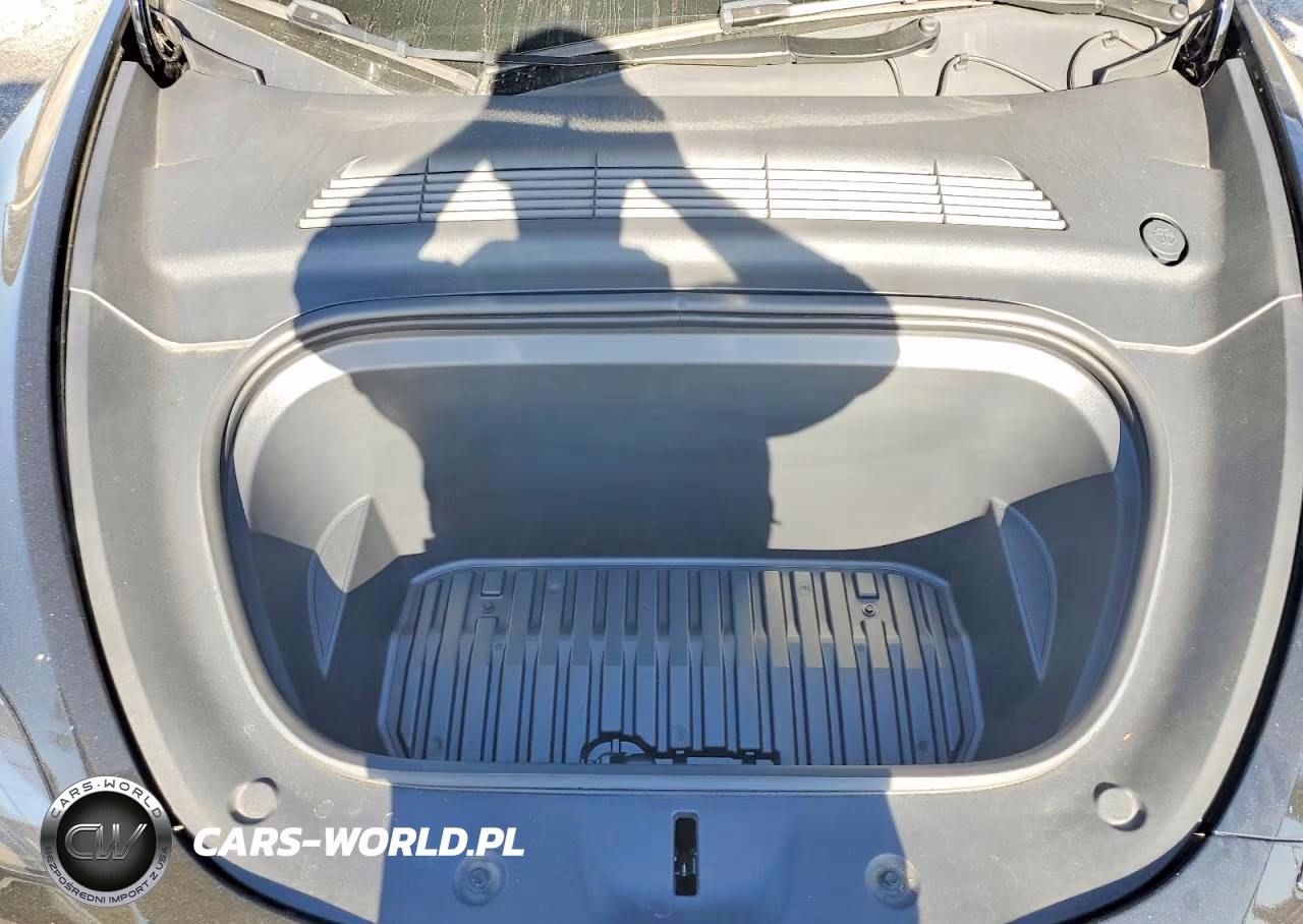 2025 Tesla Model Y VIN:7SAYGDED6SF233762 - 12