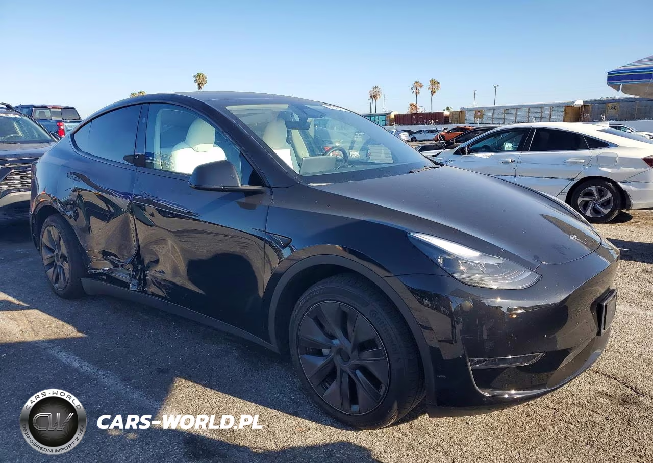 2025 Tesla Model Y VIN:7SAYGDED6SF233762 - 4