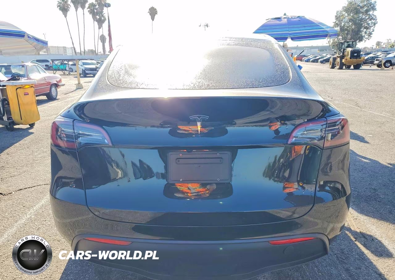 2025 Tesla Model Y VIN:7SAYGDED6SF233762 - 6