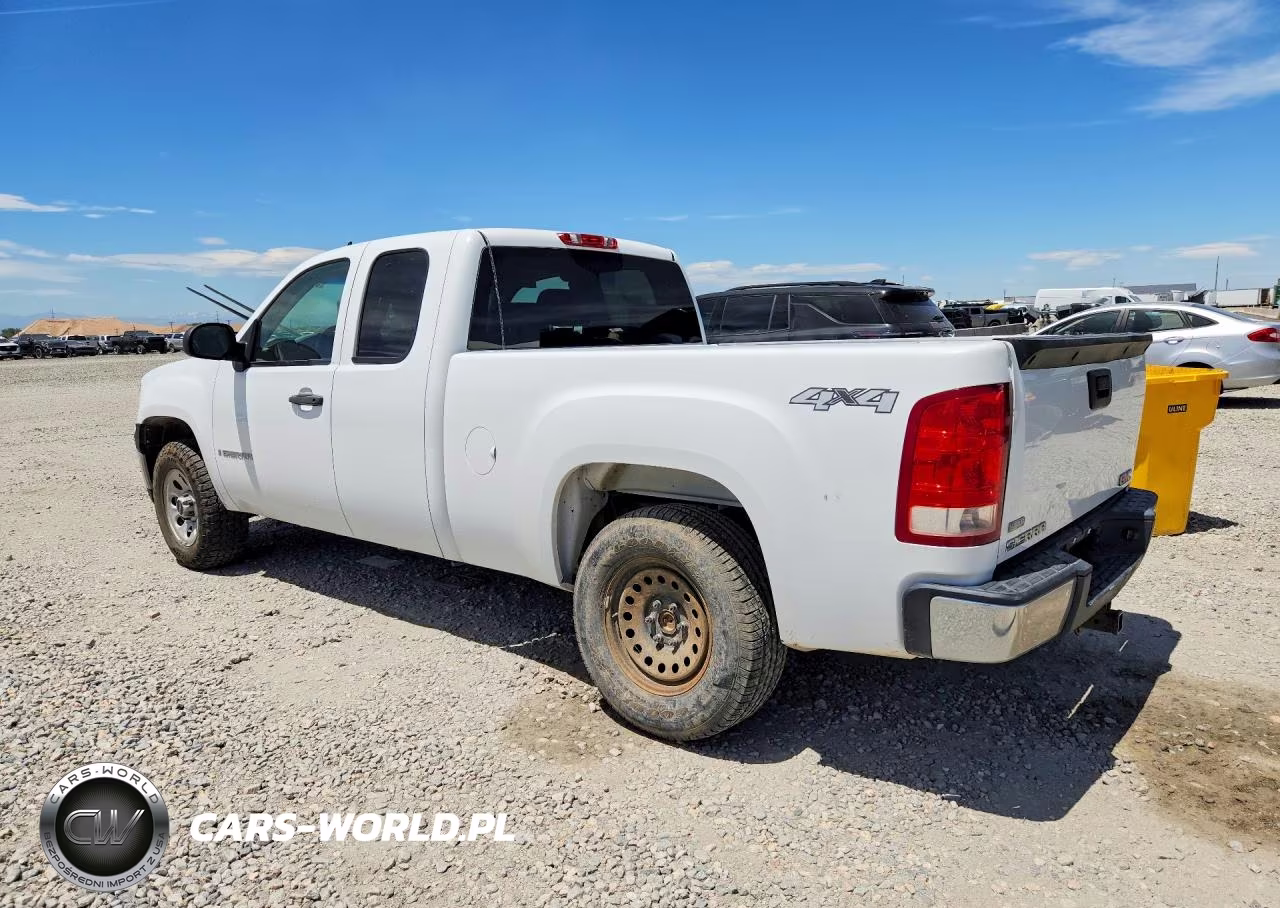 2009 GMC Sierra K1500 VIN:1GTEK19079Z170079 - 2