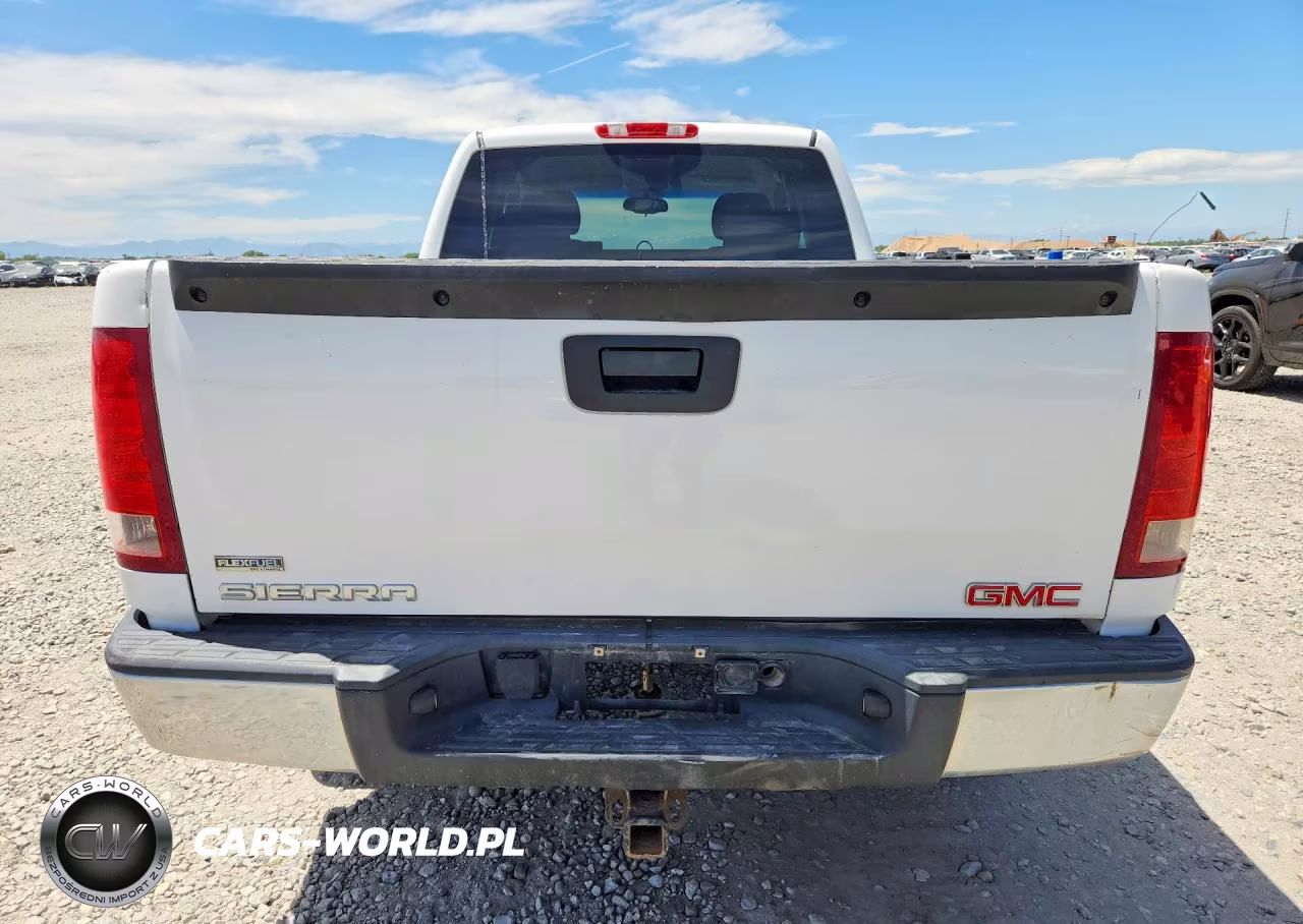 2009 GMC Sierra K1500 VIN:1GTEK19079Z170079 - 6