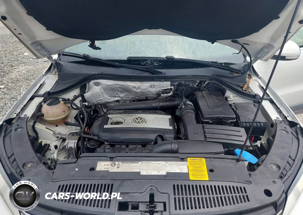 2013 Volkswagen Tiguan S VIN:WVGBV7AX5DW519946 - 12