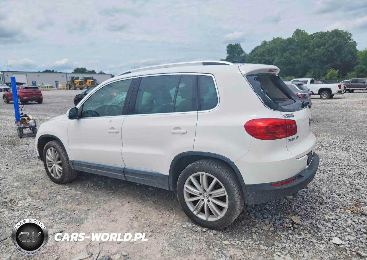 2013 Volkswagen Tiguan S VIN:WVGBV7AX5DW519946 - 2