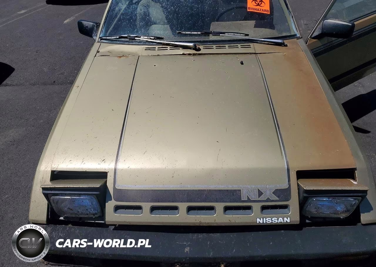 1983 Datsun Pulsar Nx VIN:JN1MN24S5DM121456 - 11
