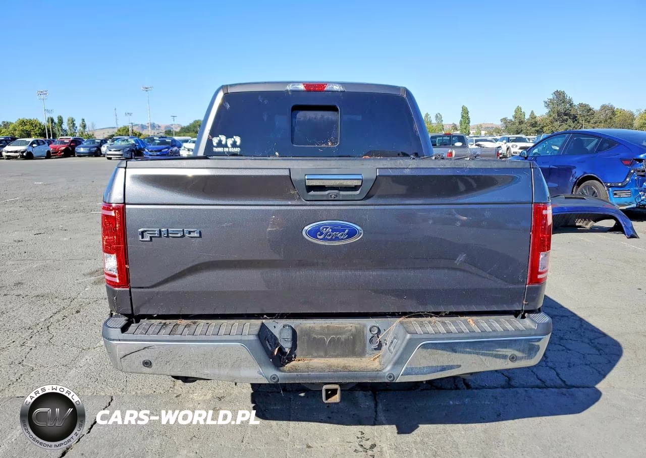 2015 Ford F150 Supercrew VIN:1FTEW1CP0FFA57694 - 6