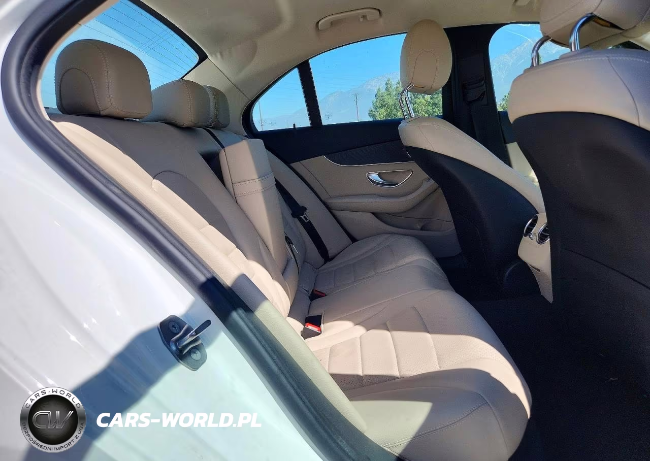 2017 Mercedes-Benz C 300 VIN:55SWF4JB9HU231863 - 10