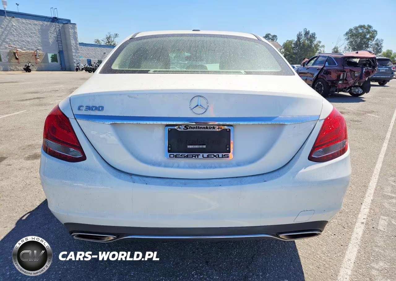 2017 Mercedes-Benz C 300 VIN:55SWF4JB9HU231863 - 6
