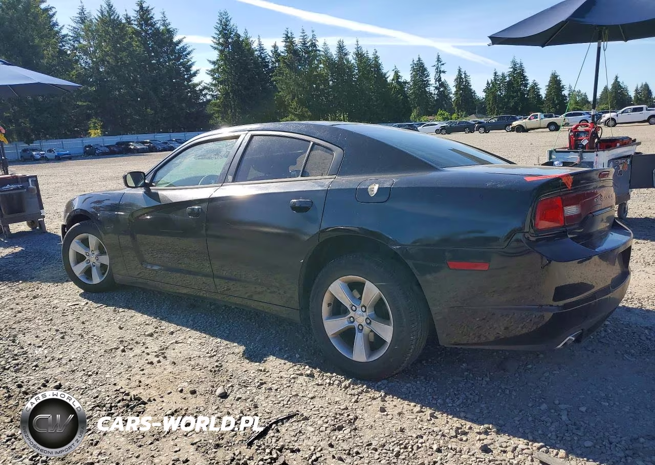 2013 Dodge Charger Se VIN:2C3CDXBG4DH619565 - 2