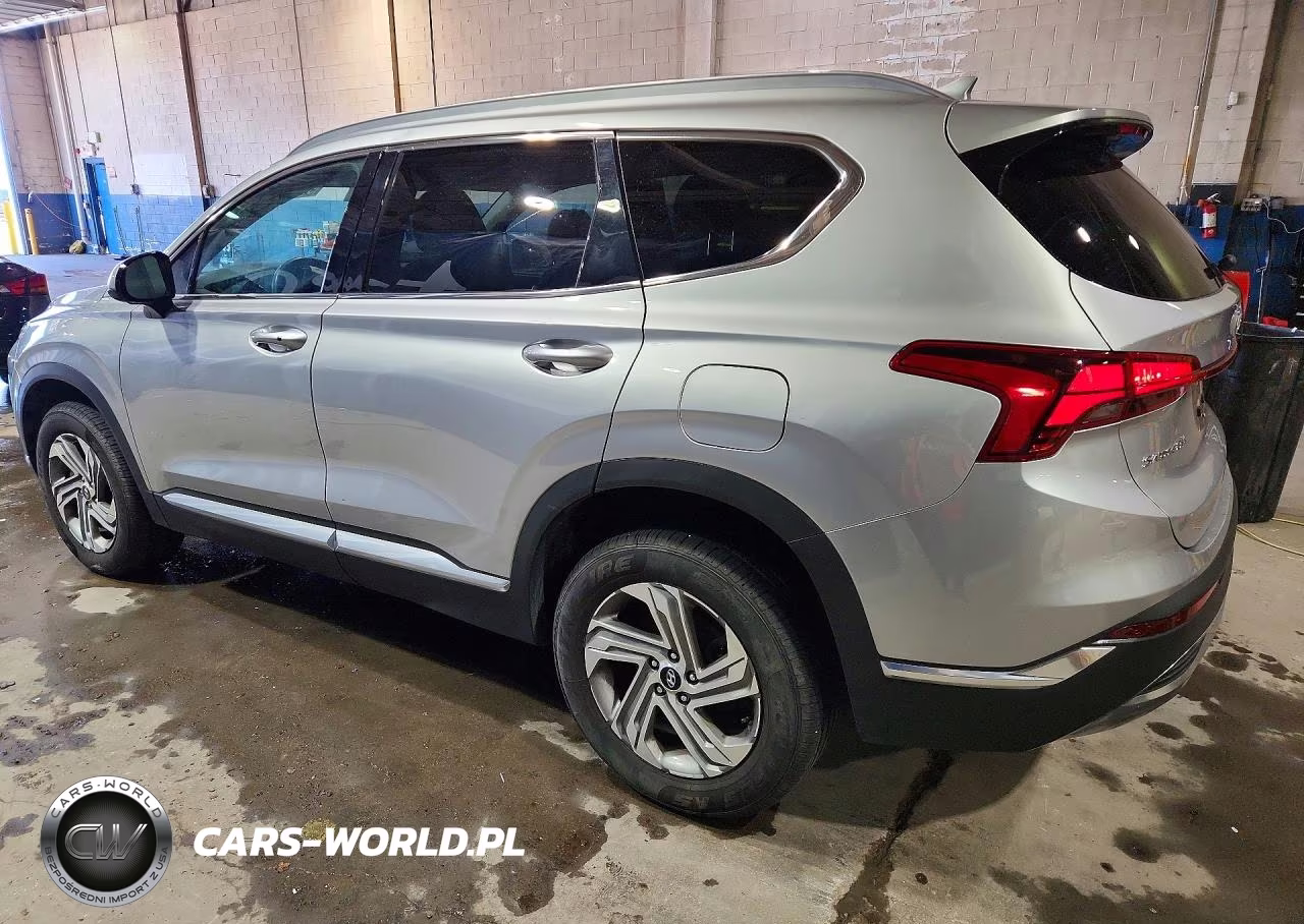 2021 Hyundai Santa Fe Sel VIN:5NMS2DAJXMH320630 - 2