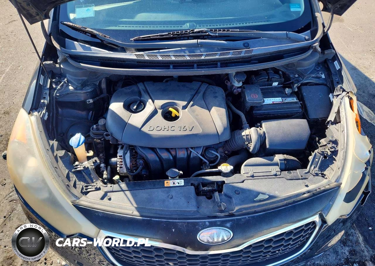 2014 Kia Forte Lx VIN:KNAFX4A61E5215975 - 11
