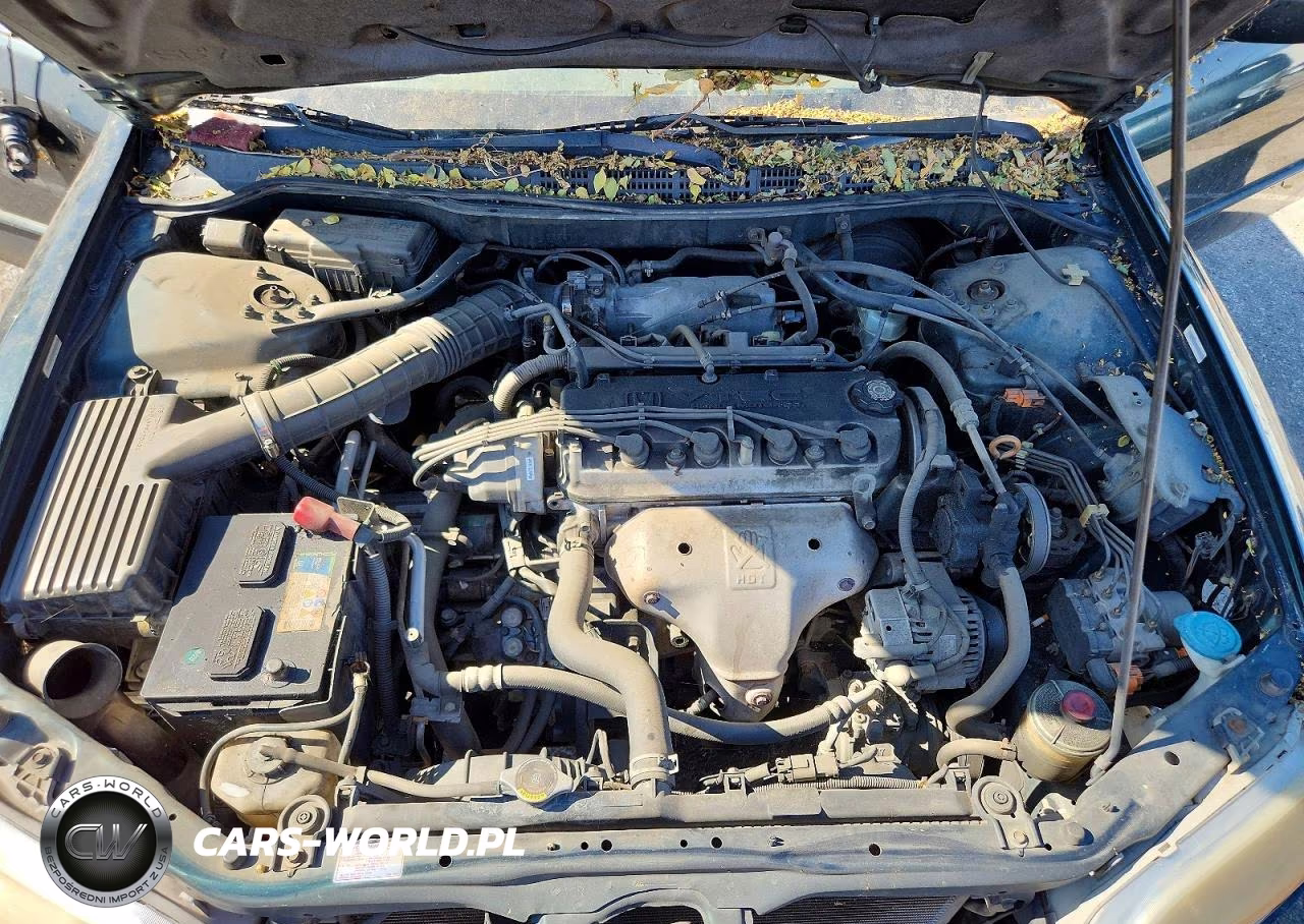 2000 Honda Accord Se VIN:JHMCG5672YC013996 - 11