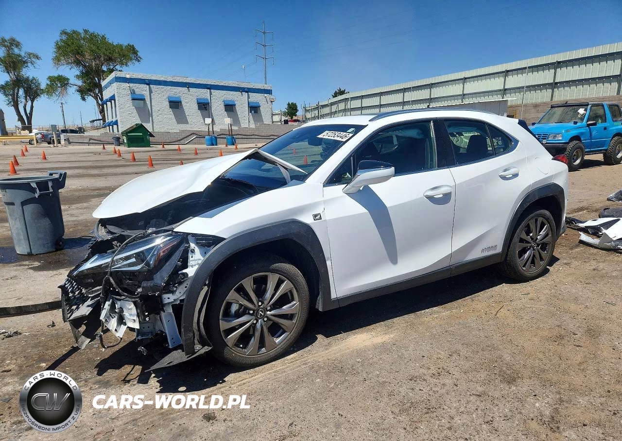 2019 Lexus Ux 250H