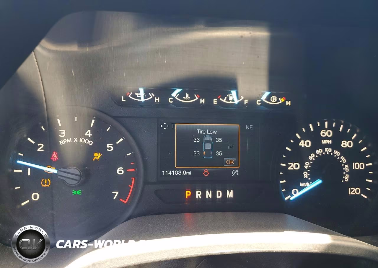 2019 Ford F150 Supercrew VIN:1FTEW1EP5KKC14926 - 9