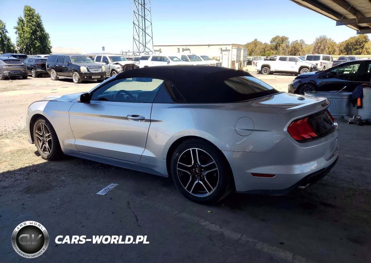 2019 Ford Mustang VIN:1FATP8UH3K5109250 - 2