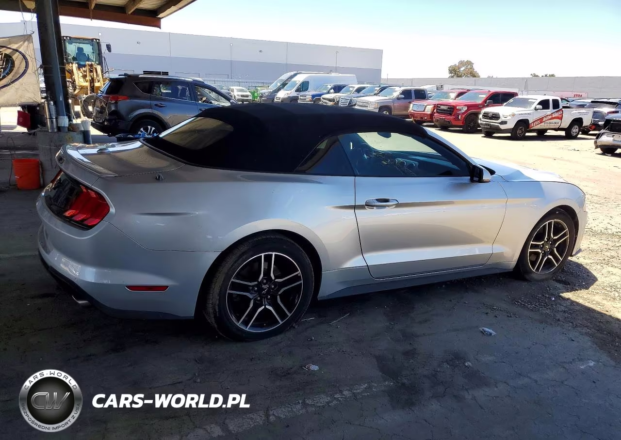 2019 Ford Mustang VIN:1FATP8UH3K5109250 - 3
