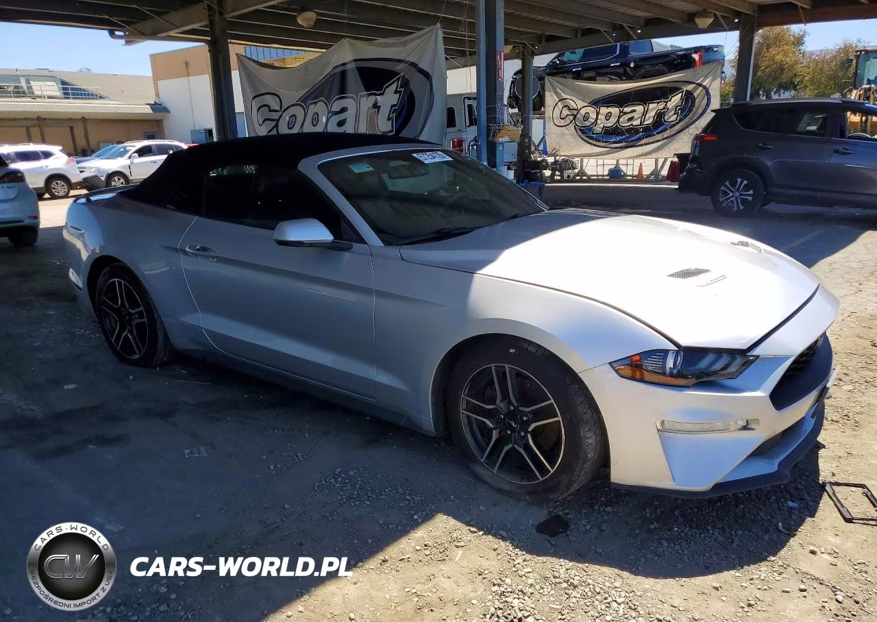 2019 Ford Mustang VIN:1FATP8UH3K5109250 - 4
