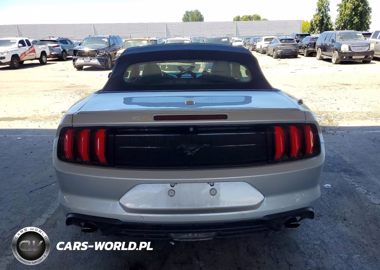 2019 Ford Mustang VIN:1FATP8UH3K5109250 - 6