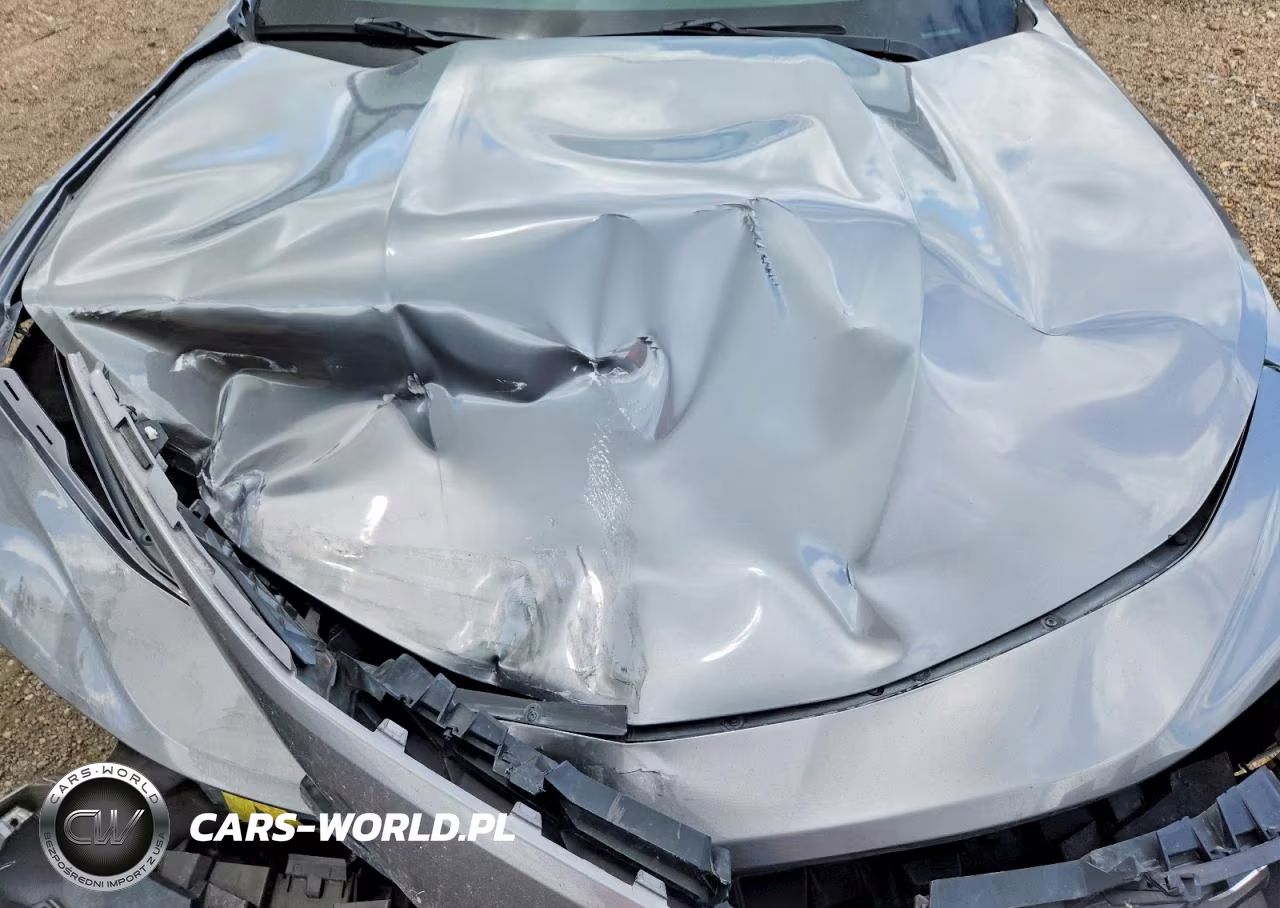 2019 Chevrolet Camaro Ls VIN:1G1FB1RS0K0113845 - 11