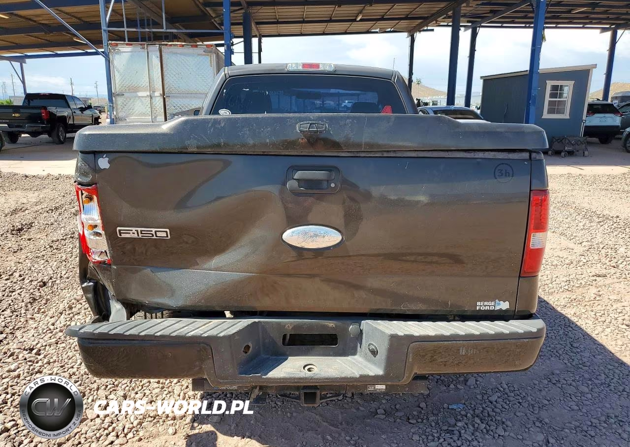 2006 Ford F150 VIN:1FTRF12246NB49940 - 6