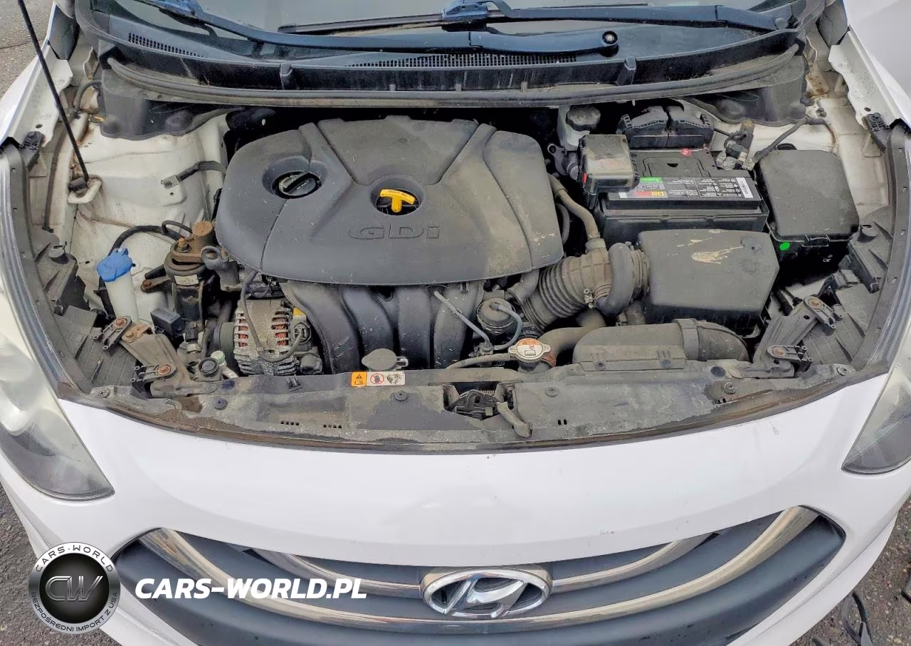 2015 Hyundai Elantra Gt Base VIN:KMHD35LH9FU248445 - 12