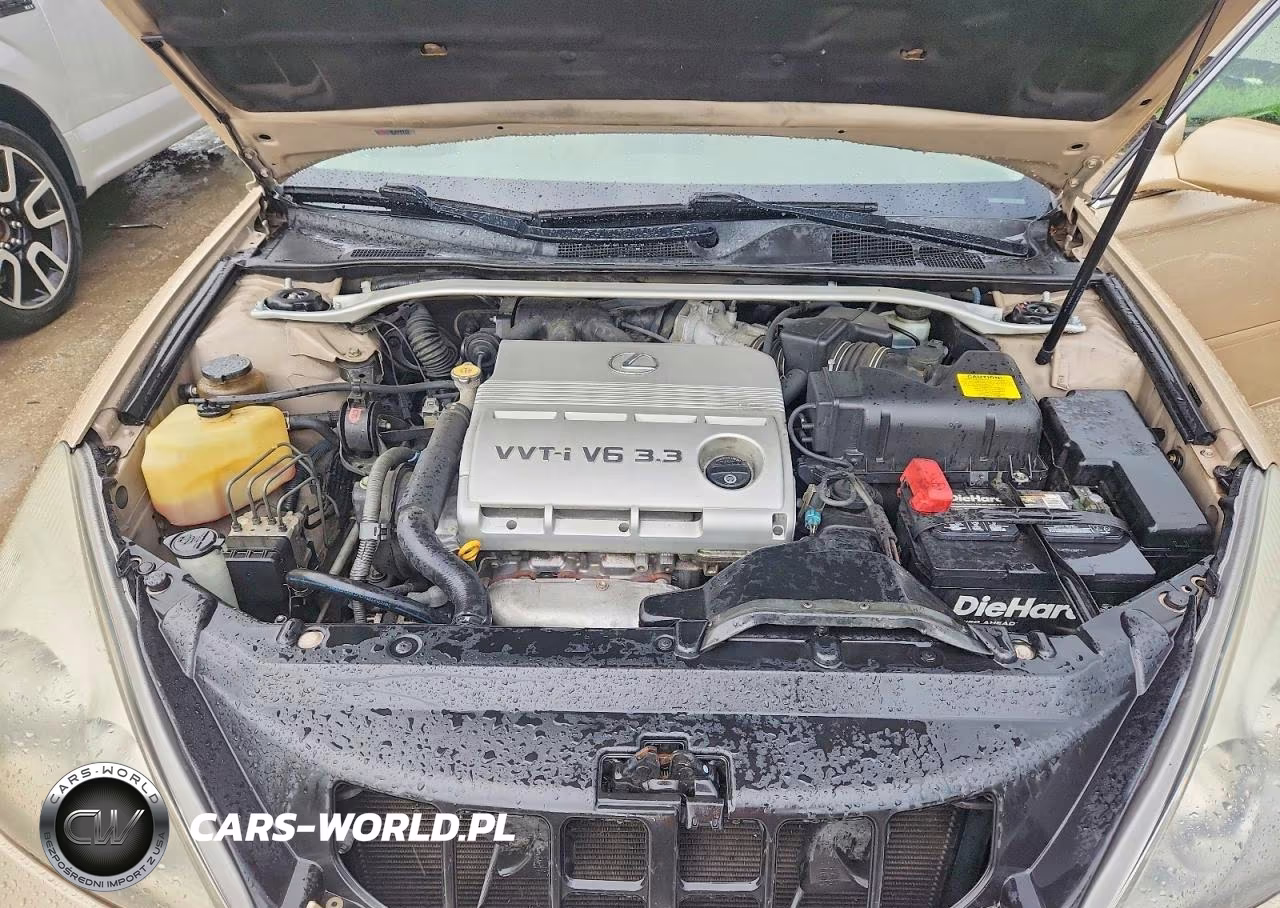 2004 Lexus Es 330 VIN:JTHBA30G845046185 - 11