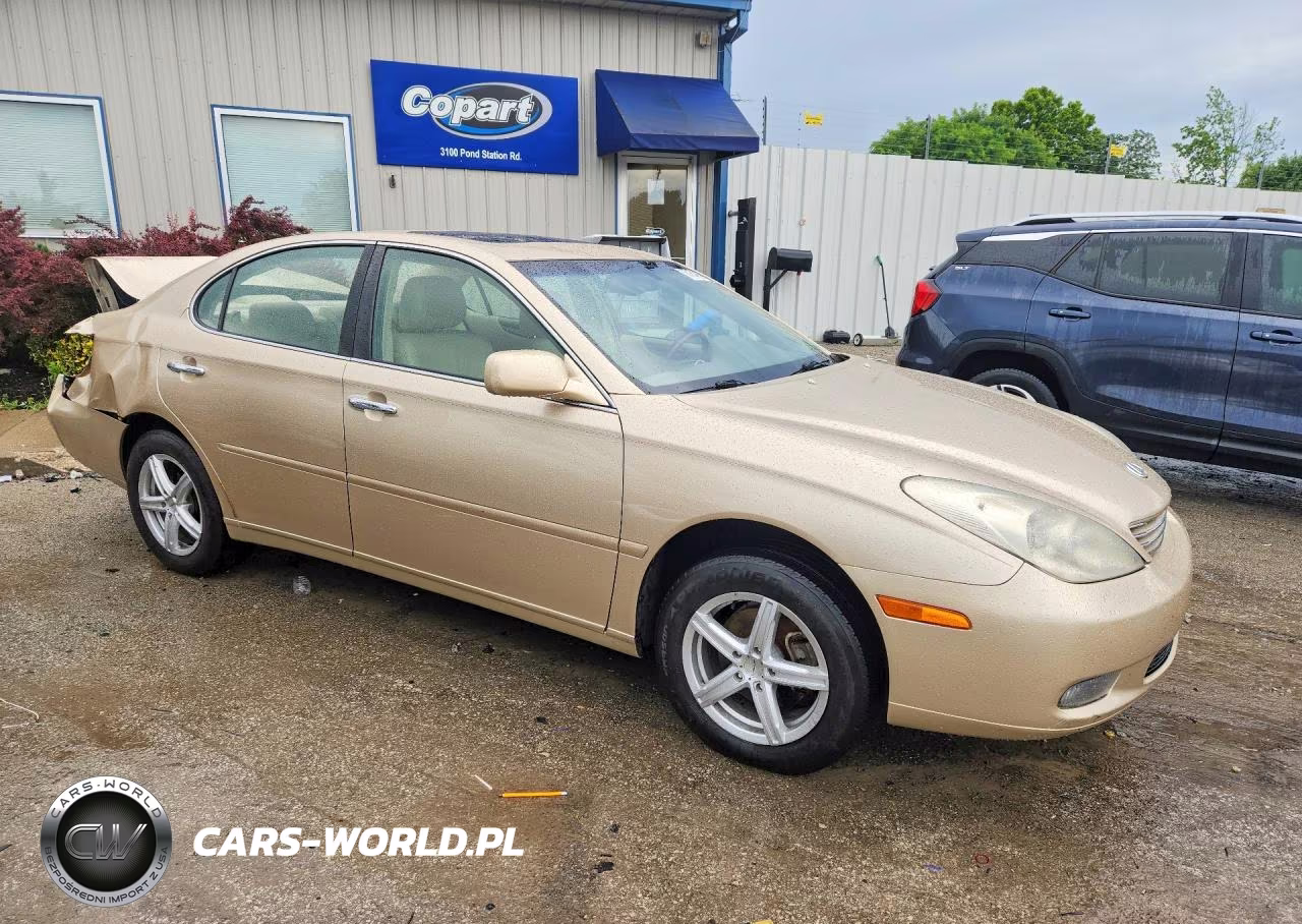2004 Lexus Es 330 VIN:JTHBA30G845046185 - 4